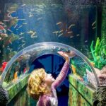 SEA LIFE Sydney Aquarium Entry Ticket - Authentic Insights from Visitors