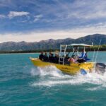 Seal Swimming Tour from Kaikoura - The Sum Up