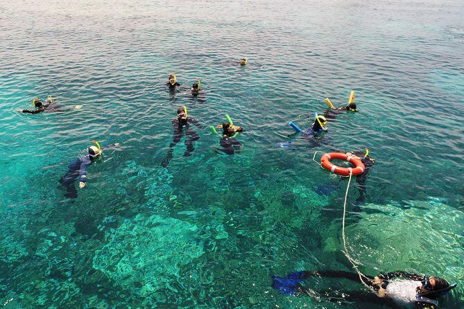 Seastar Luxury Outer Great Barrier Reef Island and Reef Tour - Final Thoughts