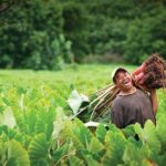 Seat in Coach Transfer from Rarotonga Airport to Hotel - The Real Value of This Service