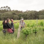 Secret Delights: Curated Wine, Coffee & Forest Experience - The Bottom Line