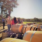 Secret Delights: Curated Wine, Coffee & Forest Experience - An In-Depth Look at the Tour Experience