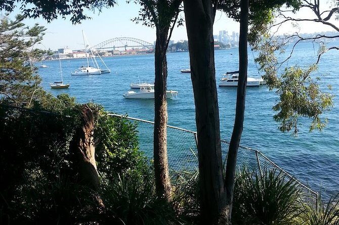 Secret Sydney: Hidden Beaches and Gardens - The Itinerary: What You Can Expect