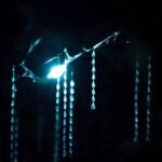 See Auckland's Secret Glow Worms - What Is Included and What’s Not