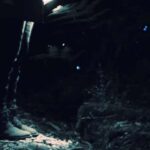 See Auckland's Secret Glow Worms - The Itinerary in Detail