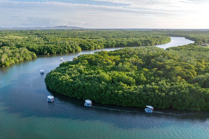 Self Drive BBQ eBoat Cruise with Onboard BBQ Denarau Fiji - Final Thoughts