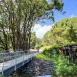 Self Guide E Bike Tour - Husk Distillery, Rainforest & Rail Trail - What Travelers Say