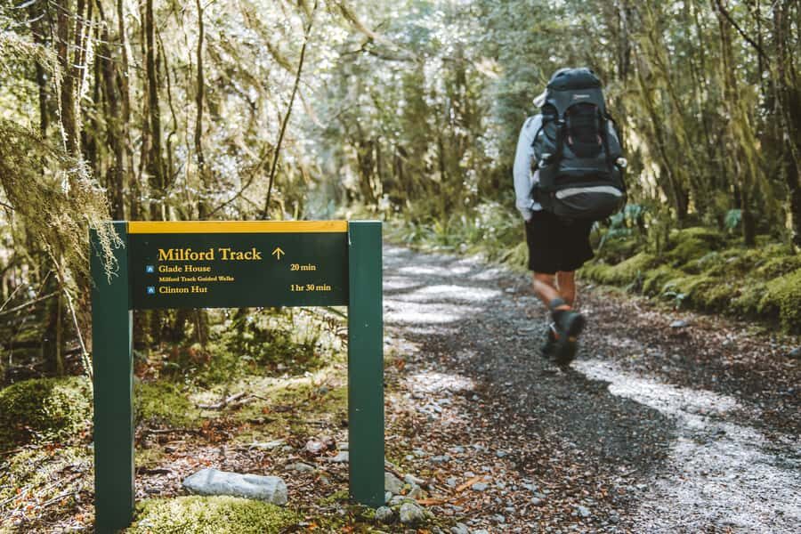 Self-Guided Milford Track Day Walk from Lake Te Anau - The Experience’s Highlights and Benefits