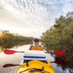 Self-Guided Noosa Everglades Kayak Tour - In-Depth Look at the Itinerary and Experience