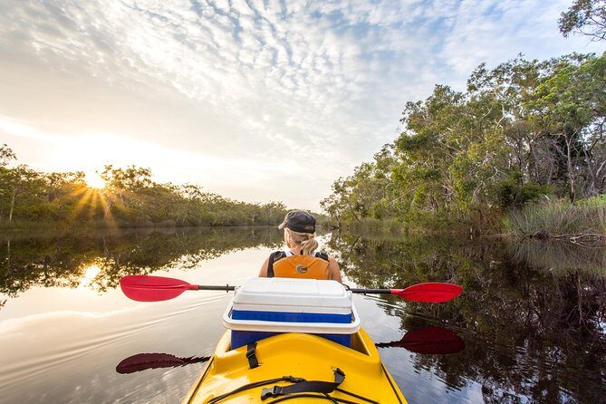 Self-Guided Noosa Everglades Kayak Tour - In-Depth Look at the Itinerary and Experience