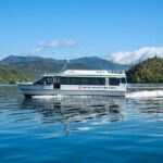 Self-Guided Queen Charlotte Track Walk from Picton - The Walking Options: Finding Your Perfect Fit