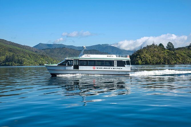Self-Guided Queen Charlotte Track Walk from Picton - The Walking Options: Finding Your Perfect Fit