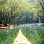 Self-Guided Sydney Middle Harbour Kayak 3 Hour Tour by Single Kayak - Practical Tips for Your Paddling Day