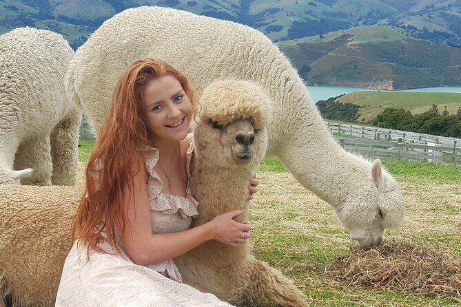 Shamarra Alpaca Farm Tours - Transportation and Practicalities