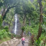 Shared 4.5h Circle Island Tour of Tahiti Nui by Lydia - Who Should Book This Tour?