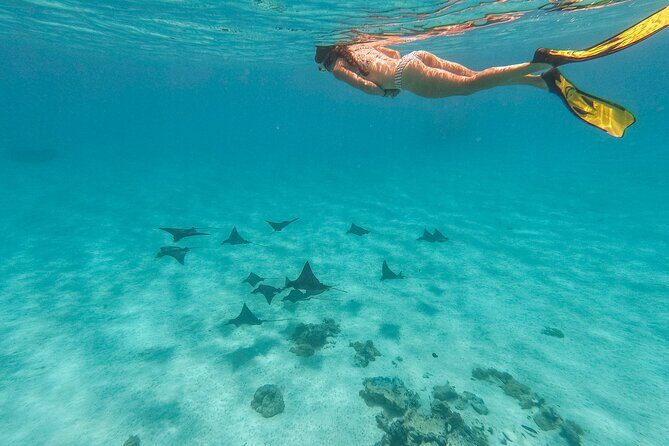 SHARED FULL DAY CULTURAL & LAGOON TOUR - Bora Bora Cultural Lagoon Tour - Who Should Book This Tour?