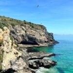 Shared Small Group Dunedin City and Peninsula Scenery Day Tour - What Past Travelers Are Saying