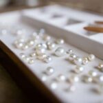 Shell to Showroom - Sydney's only Pearl Farm Experience - The Itinerary Breakdown in Detail