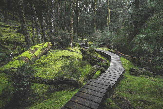 Shore Excursion - Cradle Mountain Shuttle Bus from Burnie - What Makes This Tour Stand Out?