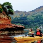 Shore Excursion Guided Sea Kayaking through Akaroa Marine Reserve - Who Will Love This Tour?