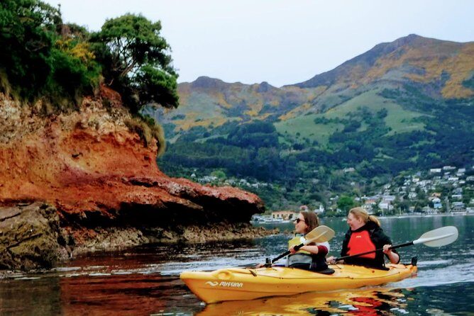 Shore Excursion Guided Sea Kayaking through Akaroa Marine Reserve - Who Will Love This Tour?