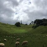 Shore Excursion: Half-Day Auckland Volcanoes Tour - Why This Tour Offers Real Value