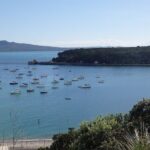 Shore Excursion: Half Day Small Group Auckland Scenic Tour - 4 HOURS - Who Should Consider This Tour?