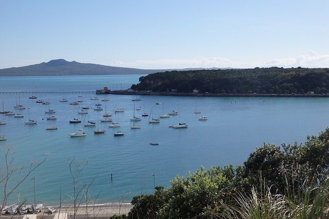 Shore Excursion: Half Day Small Group Auckland Scenic Tour - 4 HOURS - Who Should Consider This Tour?