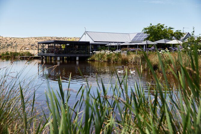 Shore Excursion Hobart and Coal River Valley - Puddleduck Vineyard: A Taste of Tasmania’s Wine and Hospitality