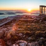 Shore Excursion: Hobart Highlights Day Tour - Price and Value