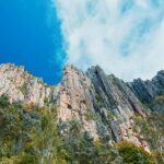 Shore Excursion: Hobart Wanderer - Who Is This Tour Best For?