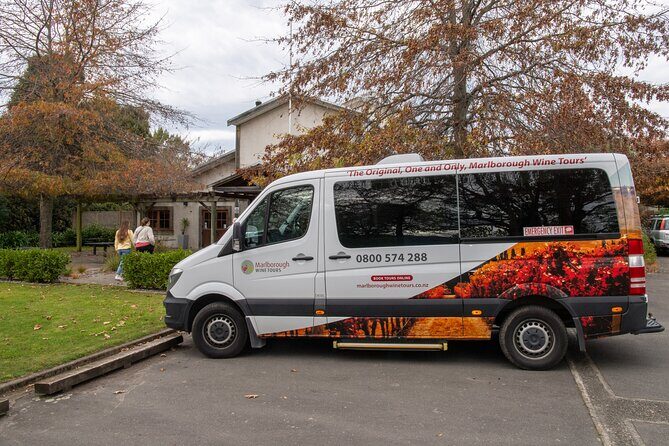 Shore Excursion Marlborough Wine Region Tour from Picton - The Value of the Experience