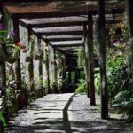 Shore Excursion-Nadi Mudpools,Sleeping Giants Gardens,Markets, Temple & Shopping - Final Thoughts