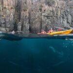 Shore Excursion - Port Arthur - Tasman Peninsula - The Value and Practicalities