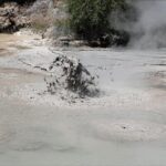 Shore excursion to Rotorua including Gondola and luge rides - Final Thoughts