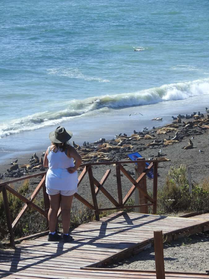 Shore Tours Peninsula Valdes Puerto Madryn Cruise Passengers - How the Itinerary Works