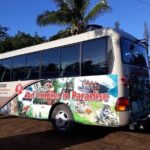 Shuttle transfer to Port Vila Airport - The Sum Up