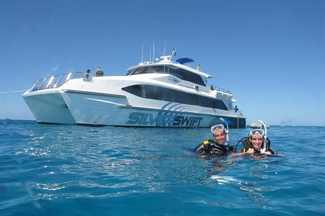 Silverswift Dive and Snorkel Great Barrier Reef Cruise - FAQ