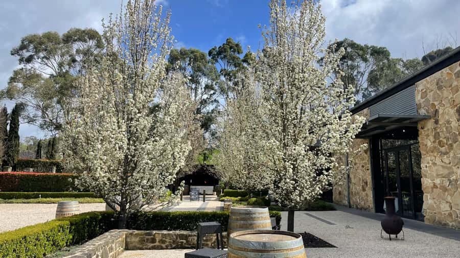 Sip & Scenic: Adelaide Hills - A Deeper Look at the Experience