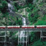 SKYRAIL CABLEWAY TRANSFER between Port Douglas & Skyrail (RETURN) - A Closer Look at the Itinerary and Service