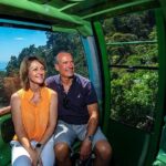 Skyrail Rainforest Cableway Day Trip from Palm Cove - Exploring the Tour: A Deep Dive
