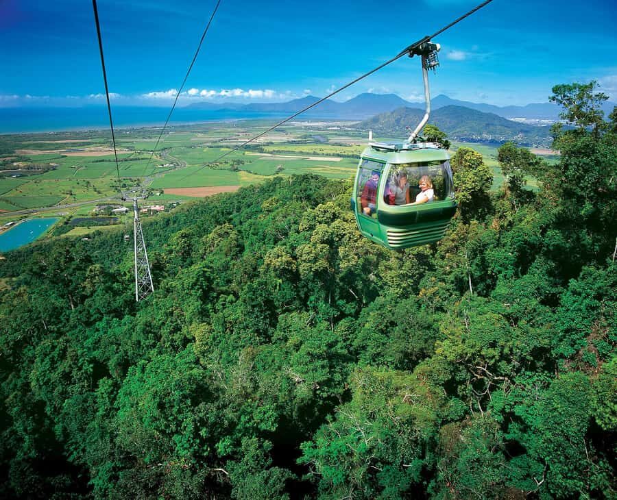 Skyrail Rainforest Cableway Round-Trip Experience - Stops and Highlights