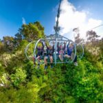 Skywire Adventure at Cable Bay, Nelson - Who Will Love This Experience?