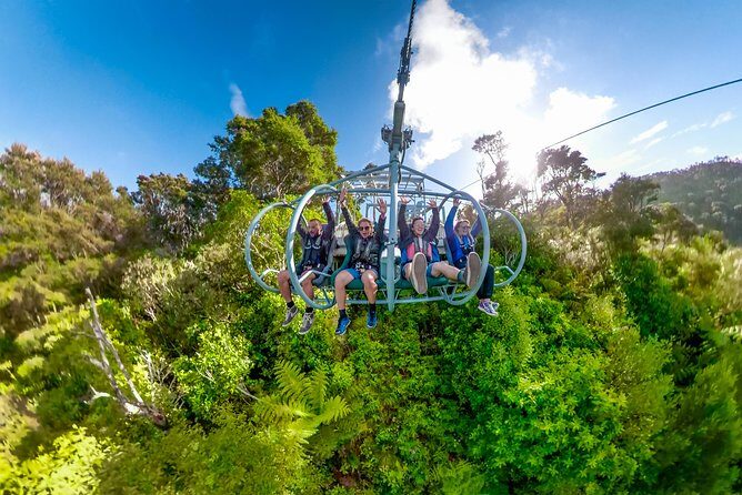 Skywire Adventure at Cable Bay, Nelson - Who Will Love This Experience?