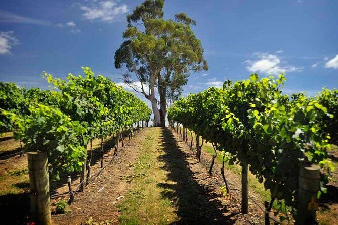 Small Group Adelaide Hills and Hahndorf Hideaway Tour from Adelaide - What to Expect from the Itinerary