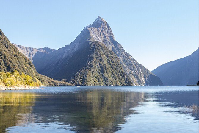 Small Group, Award Winning Milford Sound Day Experience & Cruise - Analyzing the Experience