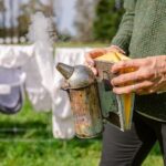 Small-Group Beekeeping Experience in Tauherenikau - The Sum Up