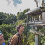 Small Group Daytime 2-Hour Eco Wildlife Tour at Zealandia - Pricing and Value
