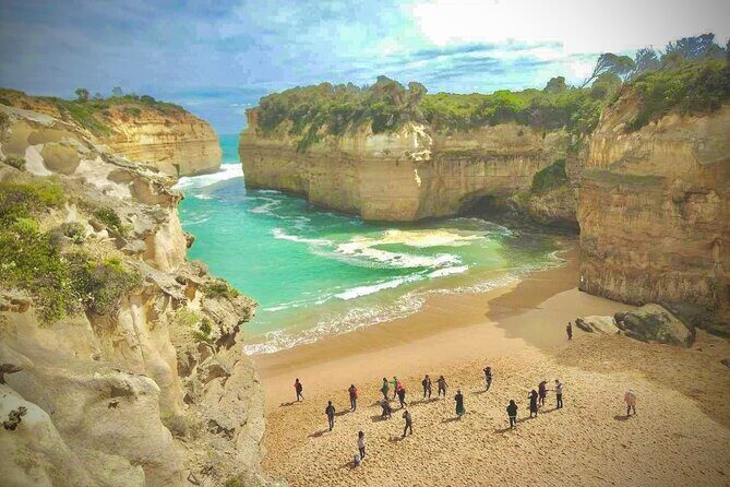 Small group Great Ocean Road Reverse & Wildlife spotting - Value for Money