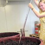 Small Group Hunter Valley Wine Tour + Lunch, Gin & Choc ex Sydney - Who Will Love This Tour?